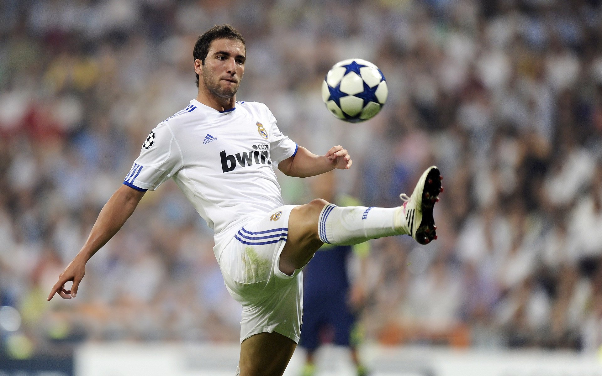 篮球赛季MVP竞争格局